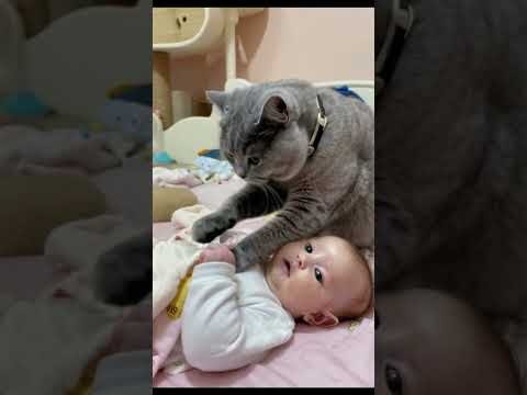 #cat #miaw #cutebaby #miau #cutecat #cute #kitten #kucing #funnycats #catlover #baby #funny #bayi