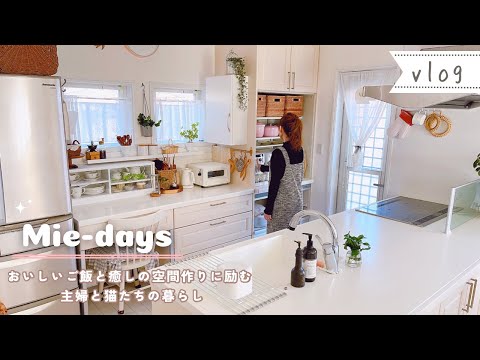 158.[キッチンツアー]お気に入りがいっぱい詰まったキッチン｜主婦vlog｜ときどき猫🐱