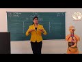 Human Body Functions and Organs