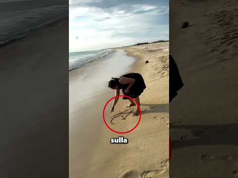 Dio le ha dato un segno che le ha cambiato la vita โค๏ธ