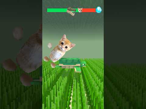 Help Cat😳