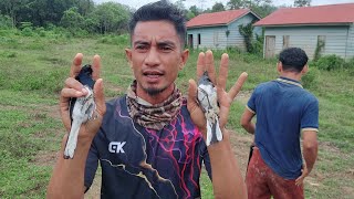 PEMUKIMAN TERBENGKALAI_KINI DIHUNI BANYAK BURUNG MAHALL