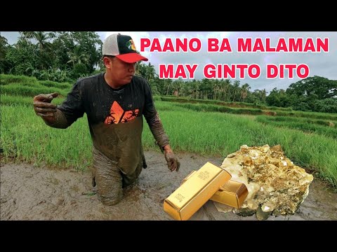 Paano ba Malalaman Kong may Ginto sa Palayan  kulay gold mga putik dito