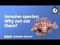 Invasive Species and Environmental Impact
