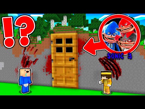 ENCONTRAMOS la ATERRADORA CASA SECRETA de SONIC 3 y SHADOW en Minecraft | 2 Noobs vs Sonic 3