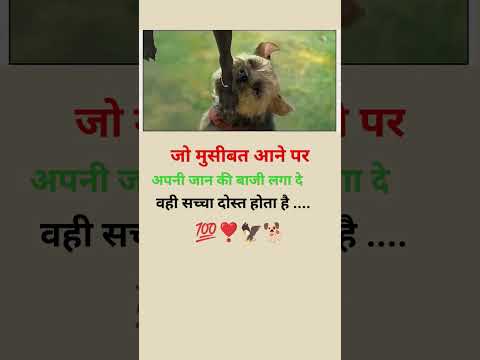 #shortvideo #motivation #youtubeshorts