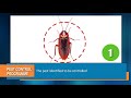 Pest Control in Food Manufacturing