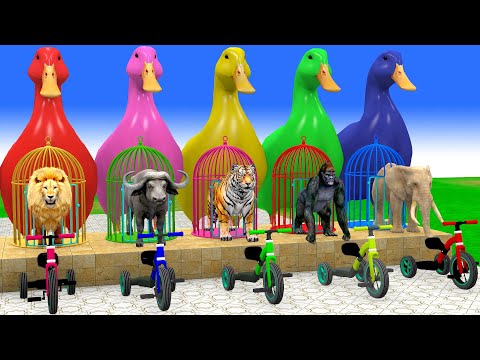 Long Slide Game with Cow Elephant Gorilla Hippopotamus Tiger 3d Animal Game Funny 3d Animals