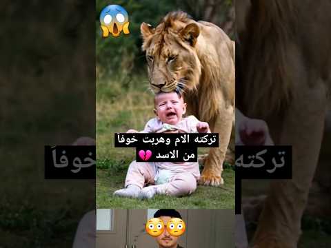تركته الام وهربت خوفاً من الاسد 😳😱😳شاهد 😳😳...