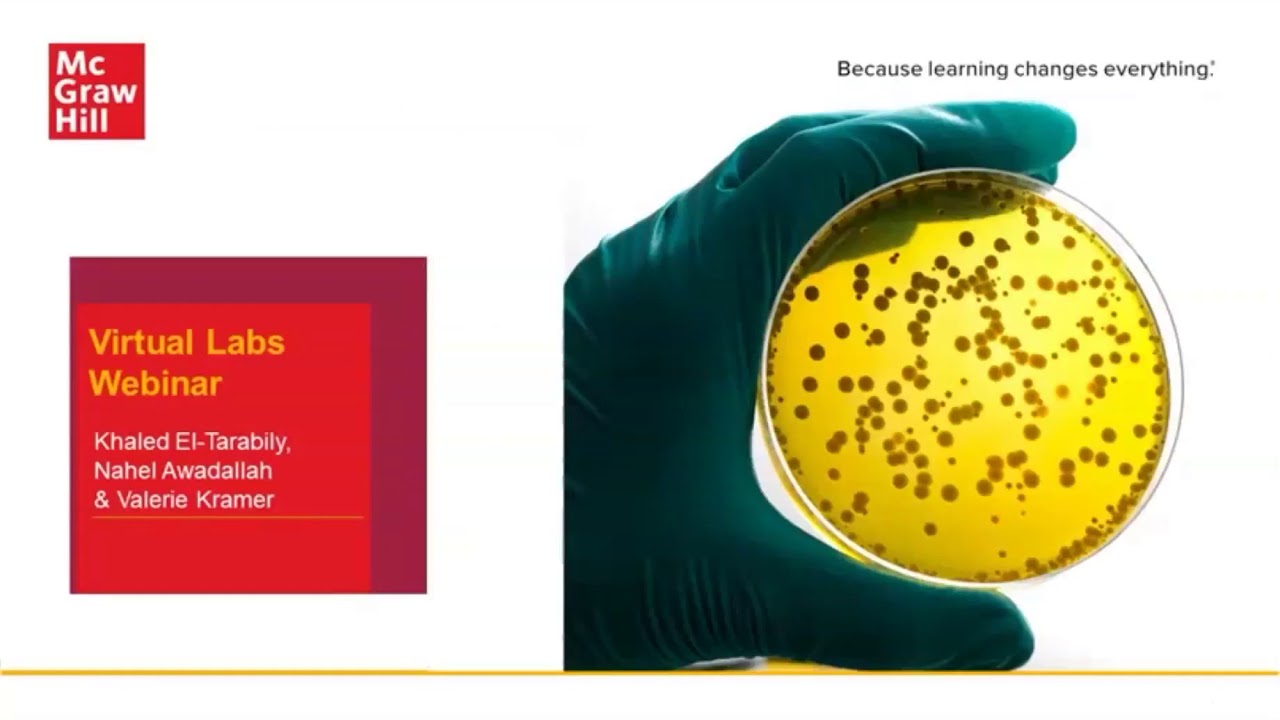 Differential White Blood Cell Count Virtual Lab McGraw Hill: Exploring the World of Hematology