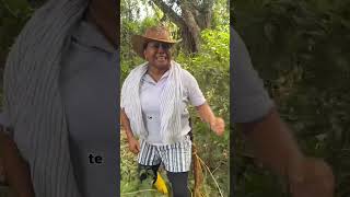 Los misterios del bosque