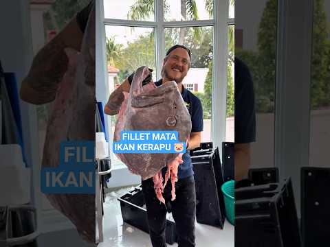 filet ikan kerapu #trendingshorts #mukbangseafoodpedas #ikan #seafood #masakanrumahan