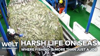 STORMS, STEEL AND POLLOCK: Why Deep-Sea Fishing is a Job for True Risk-Takers | WELT Documentary