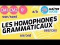 Homophones and Their Usage in French