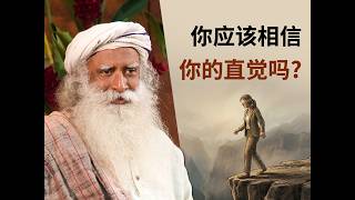 你的直觉来自恐惧还是智慧