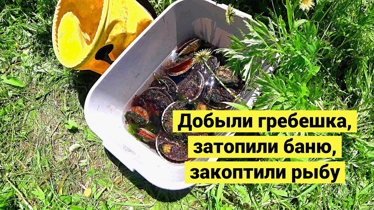 Семейный отдых на природе. Добываем и едим