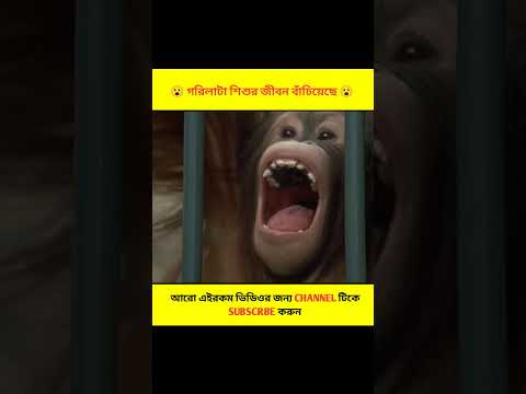 গরিলাটা শিশুর জীবন বাঁচিয়েছে 😮 || #short