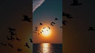 Aurora Riddim 🌅 Chill Reggae Roots Beat, Relaxing Vibes #shorts #reggaebeat #chillvibes #reggaemusic
