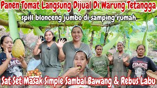PANEN TOMAT,KACANG PANJANG DLL HASILNYA MELIMPAH LANGSUNG DI JUAL‼️MASAK SAMBAL BAWANG REBUS LABU