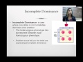 Mendelian Genetics and Inheritance Patterns
