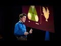 Antibiotic Resistance and Animal Production