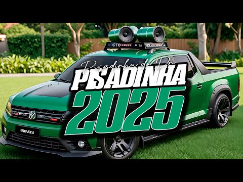 PISADINHA DO DN 2024 CD ATUALIZADO -  CD NOVO PSIEIRO 2025 ALTA QUALIDADE, PISADINHA 2024 SELEÇÃO