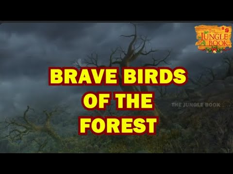 🎄🎅Brave birds of the forest |  Cartoon | Jungle Book Mega Episode | Christmas Season Special