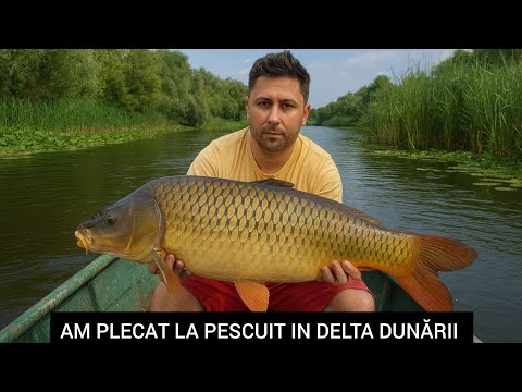 AM PLECAT IN DELTA DUNĂRII, SISTAM LUCRĂRILE LA CASUTA COPILĂRIEI !