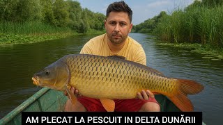 AM PLECAT IN DELTA DUNĂRII, SISTAM LUCRĂRILE LA CASUTA COPILĂRIEI !