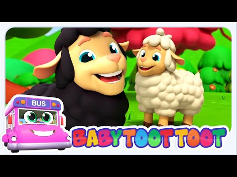 Baa Baa Black Sheep, Animals Song and Nursery Rhymes for Kids