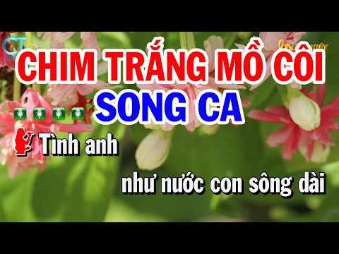 Karaoke Chim Trắng Mồ Côi Song Ca ( Gm ) Nhạc Sống Remix || Karaoke Tuấn Kiệt