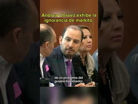 #andreachávez y #markocortés sobre el gusano barrenador #shorts #senadores #eeuu