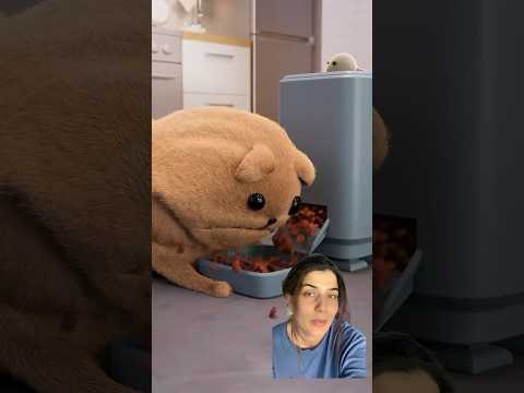 Dünya’nın en aç köpeği 😱😱 #pets #funny #cute #youtube #disney #cute #eating #mama #shorts #dog