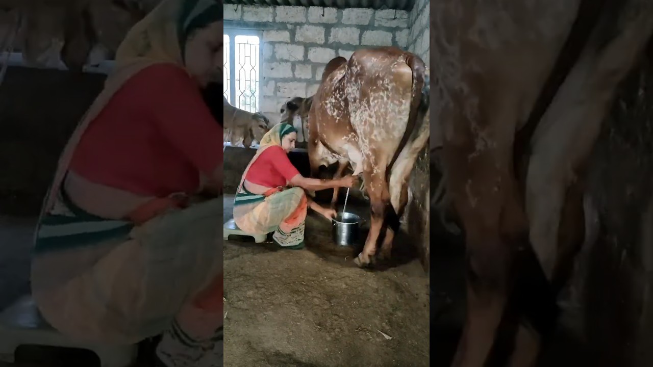 Order Video