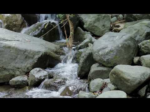 Soothing Sunday (Original Track By Sleep & Relaxation Track 38)