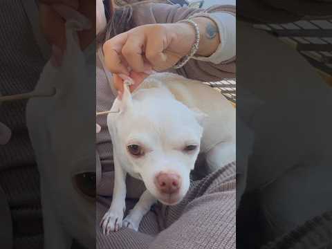 Niki’s brain right now:🤤🥴🥵😍🤪