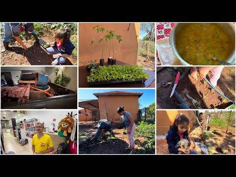 BUSCAMOS MUDAS NA CIDADE| REPLANTANDO NOSSA HORTA| CALDO DE MANDIOCA NO ALMOÇO 😋😋