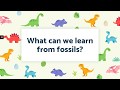 Dinosaur Diets and Fossil Studies