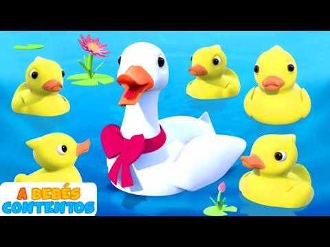 A Bebés Contentos | Cinco Patitos 🐤 | Canciones Infantiles