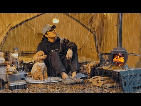 Solo Camping in Rain with My Dog . Relaxing in the Hot Tent . Wood Stove ASMR