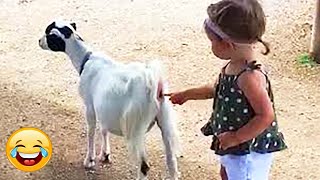 Best FUNNY Videos 2025 😂😁 1 Hours Funny Moments Of The Year Compilation P12