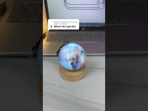 Replying to @Sing/dance best gift ever 🥲 #doglover #giftideas #dog #crystalball