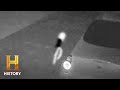 Mysterious Creatures in Ohio