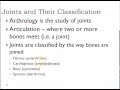 Types and Functions of Joints