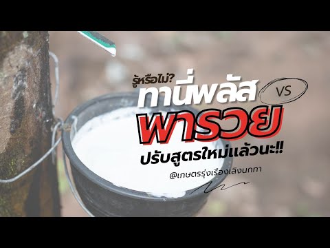 ทานี่พลัสพารวยปรับสูตรใหม่เเล้วน๊าพารวย