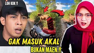 EMANG AGAK LAEN BISA BAWA MOTOR GITU❗️❗️- VIDEO REACTION OZIIE TV - REACT MEME