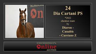 24. Dia Cartani PS