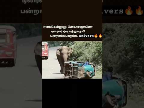 Respect Drivers ??? #drivinglover #buslover #respectdrivers #shorts #shortvideo #trending