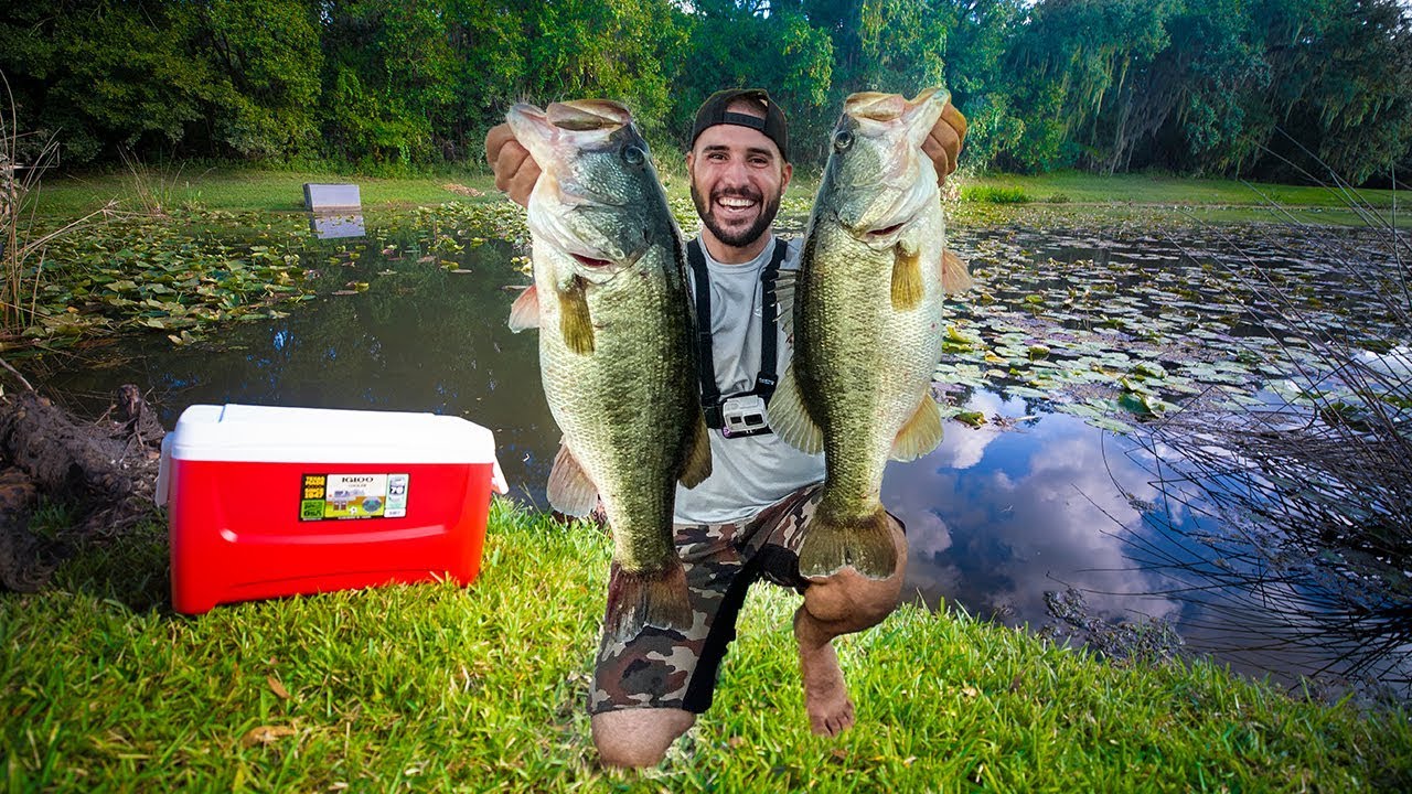 Stocking Pond With Giant WILD Pet Bass! (big bass pond)