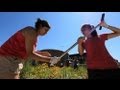 Green Roof Ecosystem and Benefits